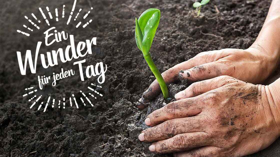 ERF Ein Wunder